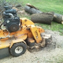 Hickory Creek Tree Service - Tree Service