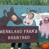Weakland Farms gallery