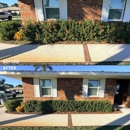 Alamo LawnCare Services - Gardeners