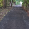 Ronnie Owens Jr. Construction and Landscaping gallery