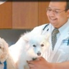 Howell Animal Hospital Surgical and Diagnostic Center gallery