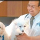 Howell Animal Hospital Surgical and Diagnostic Center