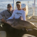 Fish Memphis - Guide Service