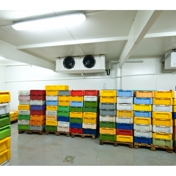Gallery Image Number 3