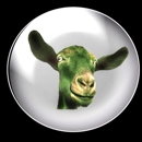 Green Goat Studio ( CNY photography) - Aerial Photographers