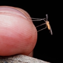 Superior Pest Control Inc - Pest Control Equipment & Supplies