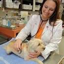 Midtown Animal Hospital - Pet Services