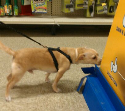 PetSmart - Jacksonville, FL