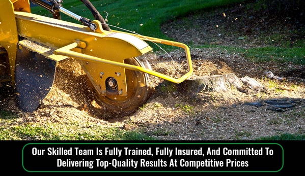 Dale's Tree Service. Our Skilled Team Is Fully Trained, Fully Insured, And Committed To Delivering Top-Quality Results At Competitive Prices