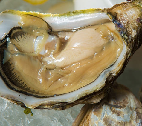 Lone Star Oyster Bar - Lubbock, TX