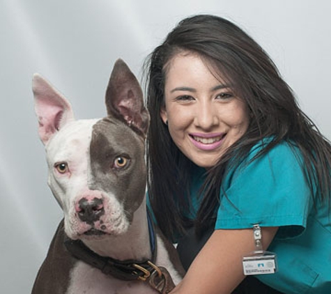 Rainbow Veterinary Hospital Inc - Burbank, CA