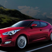 Gallery Image Number 8
