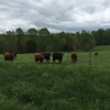 Jakes Legacy Farm gallery