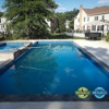 New Village Landscape & Tree Services gallery
