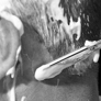 Photo #11
