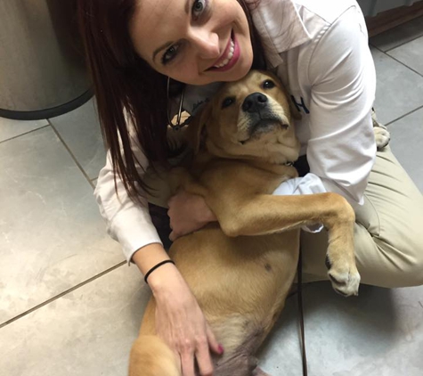 University Veterinary Hospital - Shreveport, LA. Dr. Spivey and a special patient