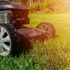 All About Tree & Turf Services gallery