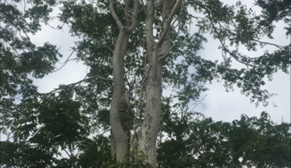 Natural Maple Landscaping - Hampton Bays, NY