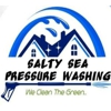 Salty Sea Pressure Washing gallery