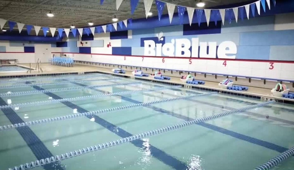 Big Blue Swim School - Niles, IL