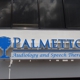 Palmetto Audiology & Speech Therapy