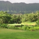 Aloha Golf Tours