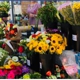 A Village Flower Shop