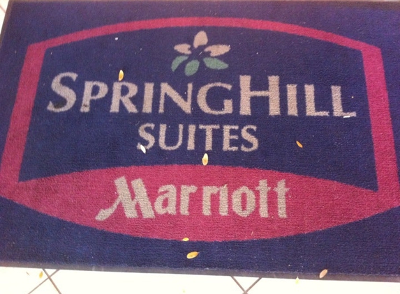 SpringHill Suites by Marriott Fort Lauderdale Airport & Cruise Port - Dania Beach, FL