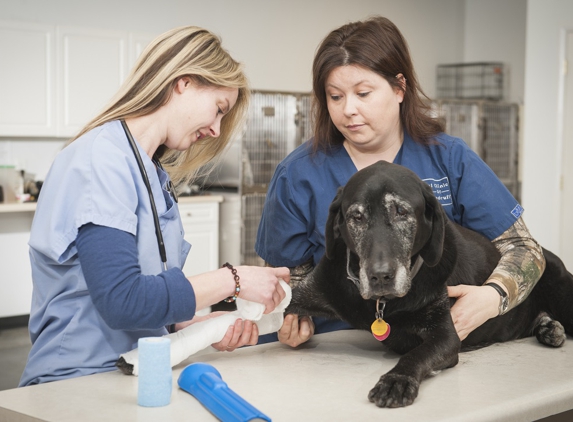 Animal Clinic of Woodruff - Woodruff, SC