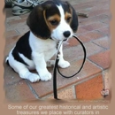 Durango Pet Sitting - Pet Services