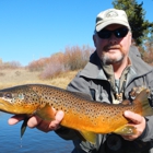 Wild Trout Outfitters Inc