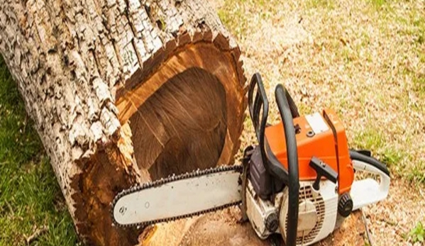 K & S Tree Service - Russellville, AL