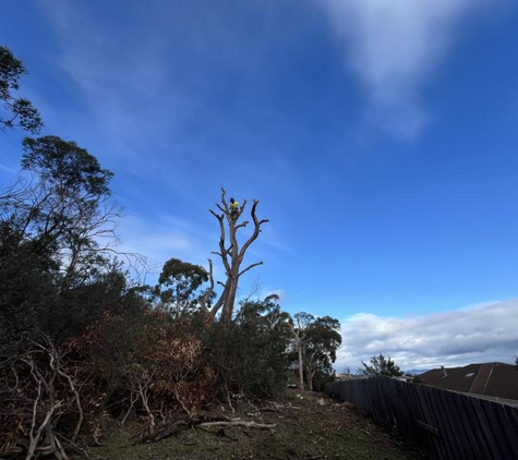 The Green Barber tree service - Dodges Ferry, TAS. Habitat trees