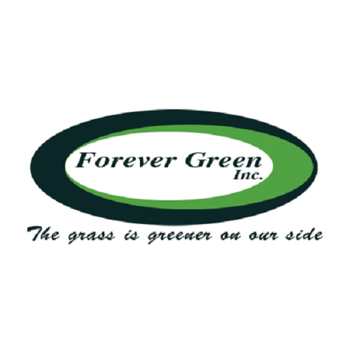 Forever Green Inc 4661 Byron Dr Loves Park Il 61111 Yp Com