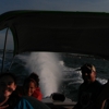 Stingray Extreme Speedboat Adventures gallery