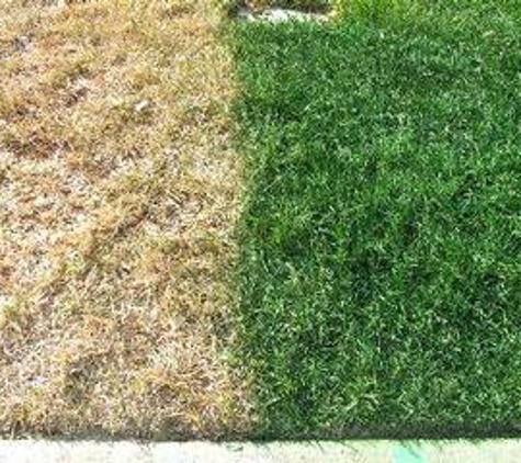 Affordable Grass Painting Service - San Diego, CA