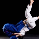 5 Elements Studio- Jiu-Jitsu & Fitness - Martial Arts Instruction