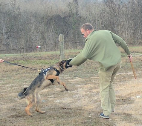 Dog Training Elite Salt Lake City - Salt Lake City, UT