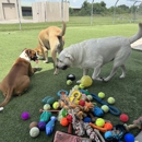 Dog's Day Inn Pet Resort - Pet Grooming