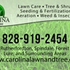 Carolina Lawn & Tree Care gallery