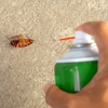 Insight Pest Solutions gallery