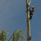 Clay's Tree Service