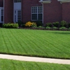 Personal Lawn Care gallery