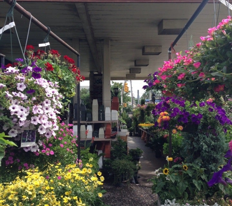 Ricky's Flower Market - Somerville, MA