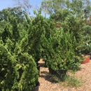 Southwestern Trees & Garden Center - Garden Centers