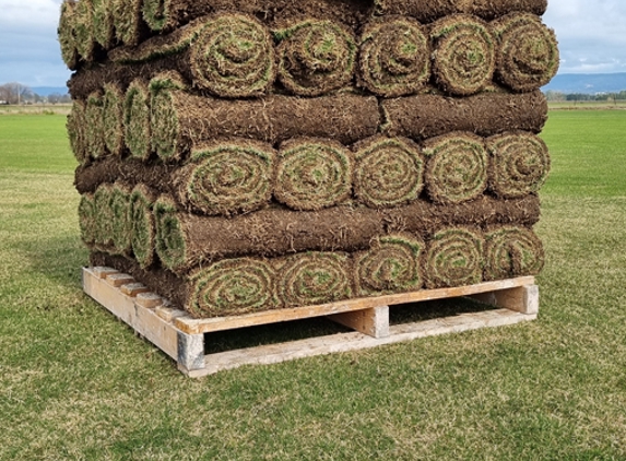Qualturf - Richmond Lowlands, NSW