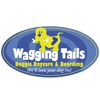 Wagging Tails Doggie Daycare & Boarding gallery