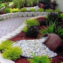 Quality cut lawn care - Landscaping & Lawn Services