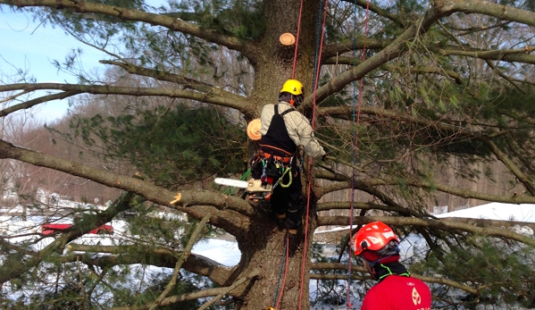 Arborist Enterprises, Inc. - Manheim, PA