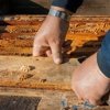 Go Local Pest Control gallery